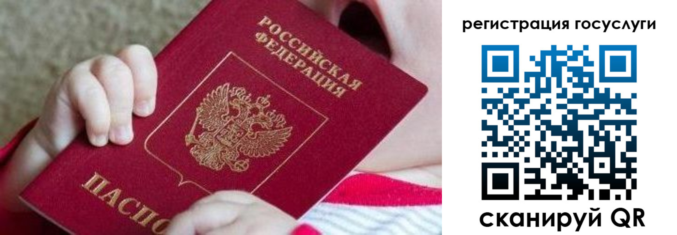 регистрация для школы в Ногинске